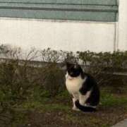 ヒメ日記 2026/01/15 21:40 投稿 ちか 錦糸町ミセスアロマ（ユメオト）