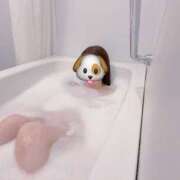 ヒメ日記 2026/02/09 20:58 投稿 ちか 錦糸町ミセスアロマ（ユメオト）