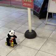 ヒメ日記 2026/02/11 21:58 投稿 ちか 錦糸町ミセスアロマ（ユメオト）