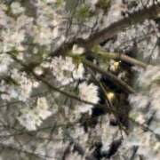 ヒメ日記 2026/04/02 22:41 投稿 ちか 錦糸町ミセスアロマ（ユメオト）