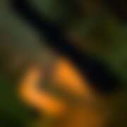 ヒメ日記 2025/07/27 23:15 投稿 ことひめ アイドルリーグ