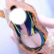 ヒメ日記 2025/10/19 15:54 投稿 ことひめ アイドルリーグ