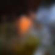 ヒメ日記 2025/12/03 17:23 投稿 ことひめ アイドルリーグ