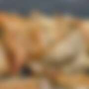 ヒメ日記 2026/02/25 23:43 投稿 ことひめ アイドルリーグ