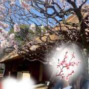 ヒメ日記 2026/03/11 11:55 投稿 すみれ 越谷発デリヘル 生イキッ娘！