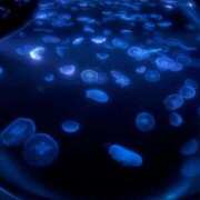 ヒメ日記 2026/03/24 16:16 投稿 すみれ 越谷発デリヘル 生イキッ娘！