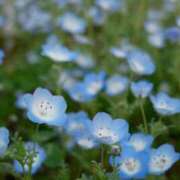 ヒメ日記 2026/04/13 16:34 投稿 すみれ 越谷発デリヘル 生イキッ娘！