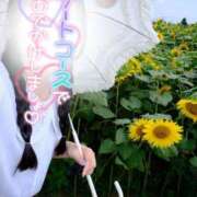 ヒメ日記 2026/08/24 12:01 投稿 すみれ 越谷発デリヘル 生イキッ娘！