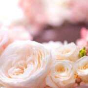 千種まい ごめんなさい お姉さんCLUB