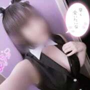 ヒメ日記 2025/07/14 07:05 投稿 なつき ハンドキャンパス新宿