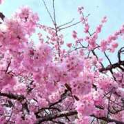 織原りこ ４月🌸 川崎南町 素敵な奥様（川崎ハレ系）