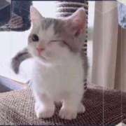 いずみ ありがとう♡ 池袋人妻城