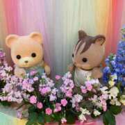 ヒメ日記 2025/07/08 20:16 投稿 せな 舐めフェチの会