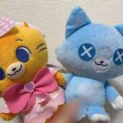 ヒメ日記 2025/07/09 21:28 投稿 せな 舐めフェチの会