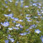 ヒメ日記 2025/08/22 10:42 投稿 せな 舐めフェチの会