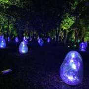 ヒメ日記 2025/08/23 18:45 投稿 せな 舐めフェチの会