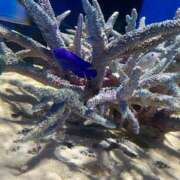 ヒメ日記 2025/09/01 10:12 投稿 せな 舐めフェチの会