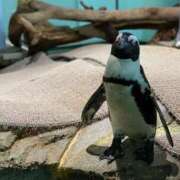 ヒメ日記 2025/10/07 22:18 投稿 せな 舐めフェチの会