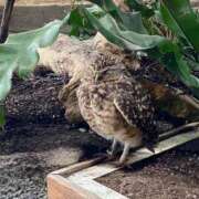 ヒメ日記 2025/10/16 12:51 投稿 せな 舐めフェチの会