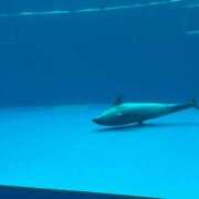 ヒメ日記 2025/10/25 09:52 投稿 せな 舐めフェチの会