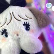 ヒメ日記 2025/11/25 10:43 投稿 せな 舐めフェチの会