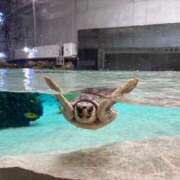 ヒメ日記 2025/11/27 20:09 投稿 せな 舐めフェチの会