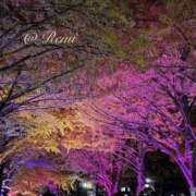 ヒメ日記 2025/11/02 22:29 投稿 れみ 完熟ばなな札幌・すすきの