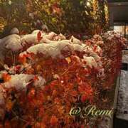 れみ 流行ってますね 完熟ばなな札幌・すすきの