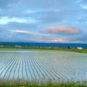 ヒメ日記 2026/06/10 22:59 投稿 れみ 完熟ばなな札幌・すすきの