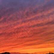 ヒメ日記 2025/11/08 16:25 投稿 あいか［神奈川］ 奥鉄オクテツ東京店（デリヘル市場）