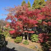 あいか［神奈川］ 本日のお礼です☺️ 奥鉄オクテツ東京店（デリヘル市場）