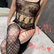 ヒメ日記 2025/10/07 10:42 投稿 あげは ホワイトベル