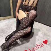 ヒメ日記 2025/10/07 12:03 投稿 あげは ホワイトベル