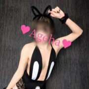 ヒメ日記 2025/10/14 20:35 投稿 あげは ホワイトベル