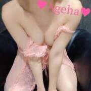 ヒメ日記 2025/10/23 09:42 投稿 あげは ホワイトベル