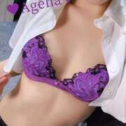 ヒメ日記 2025/10/28 19:22 投稿 あげは ホワイトベル