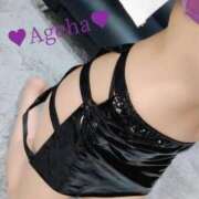 ヒメ日記 2025/10/29 19:32 投稿 あげは ホワイトベル