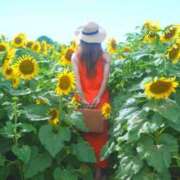 ヒメ日記 2025/07/21 23:39 投稿 高梨せいな 松戸人妻花壇