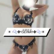 ヒメ日記 2025/09/24 11:14 投稿 高梨せいな 松戸人妻花壇