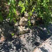 ヒメ日記 2025/07/29 15:28 投稿 みるく マリン宮殿雄琴店