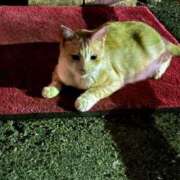 ヒメ日記 2025/08/07 10:57 投稿 みるく マリン宮殿雄琴店