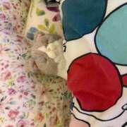 ヒメ日記 2025/08/08 08:17 投稿 みるく マリン宮殿雄琴店