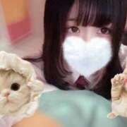 ヒメ日記 2025/08/14 20:17 投稿 みるく マリン宮殿雄琴店