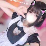 ヒメ日記 2025/09/11 15:13 投稿 みるく マリン宮殿雄琴店