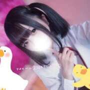 ヒメ日記 2025/11/07 09:26 投稿 みるく マリン宮殿雄琴店