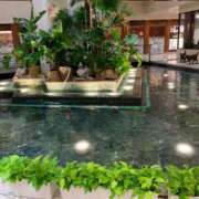 ヒメ日記 2025/07/29 23:18 投稿 はなこ 熟女家 京橋店