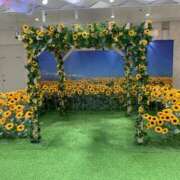 ヒメ日記 2025/07/31 23:46 投稿 はなこ 熟女家 京橋店