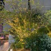 ヒメ日記 2025/08/30 23:37 投稿 はなこ 熟女家 京橋店