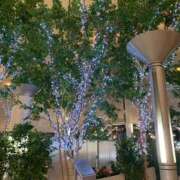 ヒメ日記 2025/10/04 21:56 投稿 はなこ 熟女家 京橋店