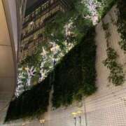 ヒメ日記 2025/10/25 22:20 投稿 はなこ 熟女家 京橋店